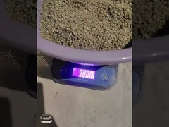 PE300 πλαστικό αποξηρατικό Masterbatch Πολυαιθυλένιο φορέα έγχυσης